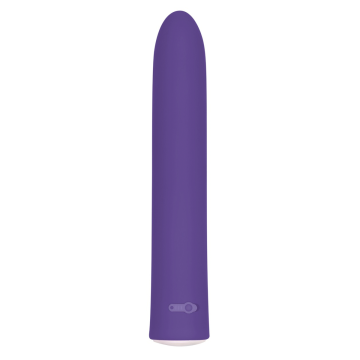 Evolved Rechargeable Slim Bullet Paars