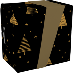 Inpakservice Kerst Zwart/Goud